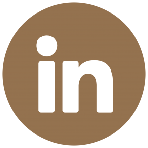 linked-in-button