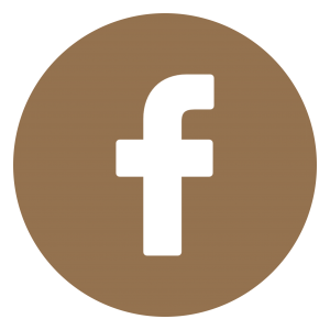 fb-button